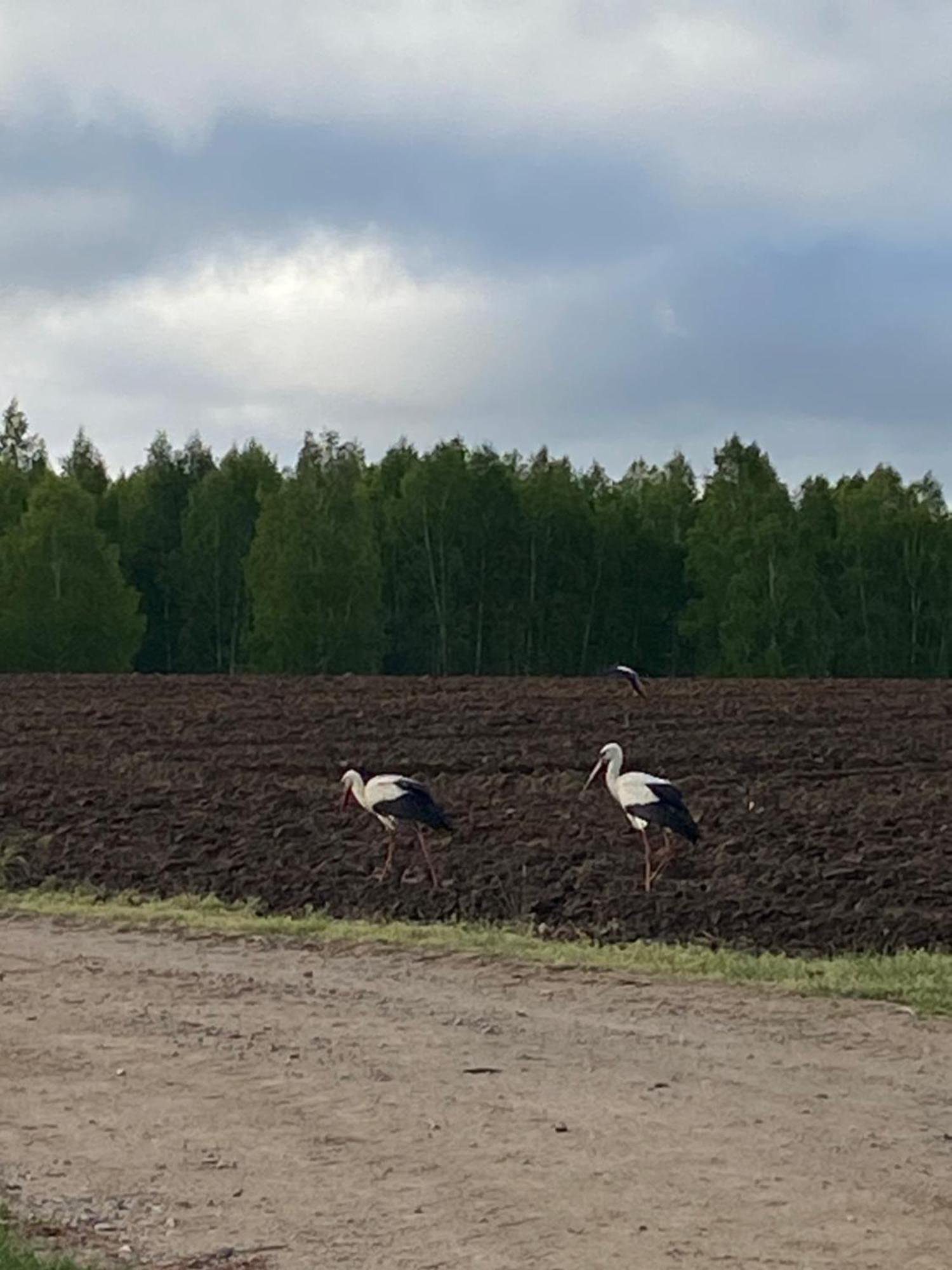 Mazurska Stodola Na Polwyspie Pilchowskim Pilchy Exteriér fotografie